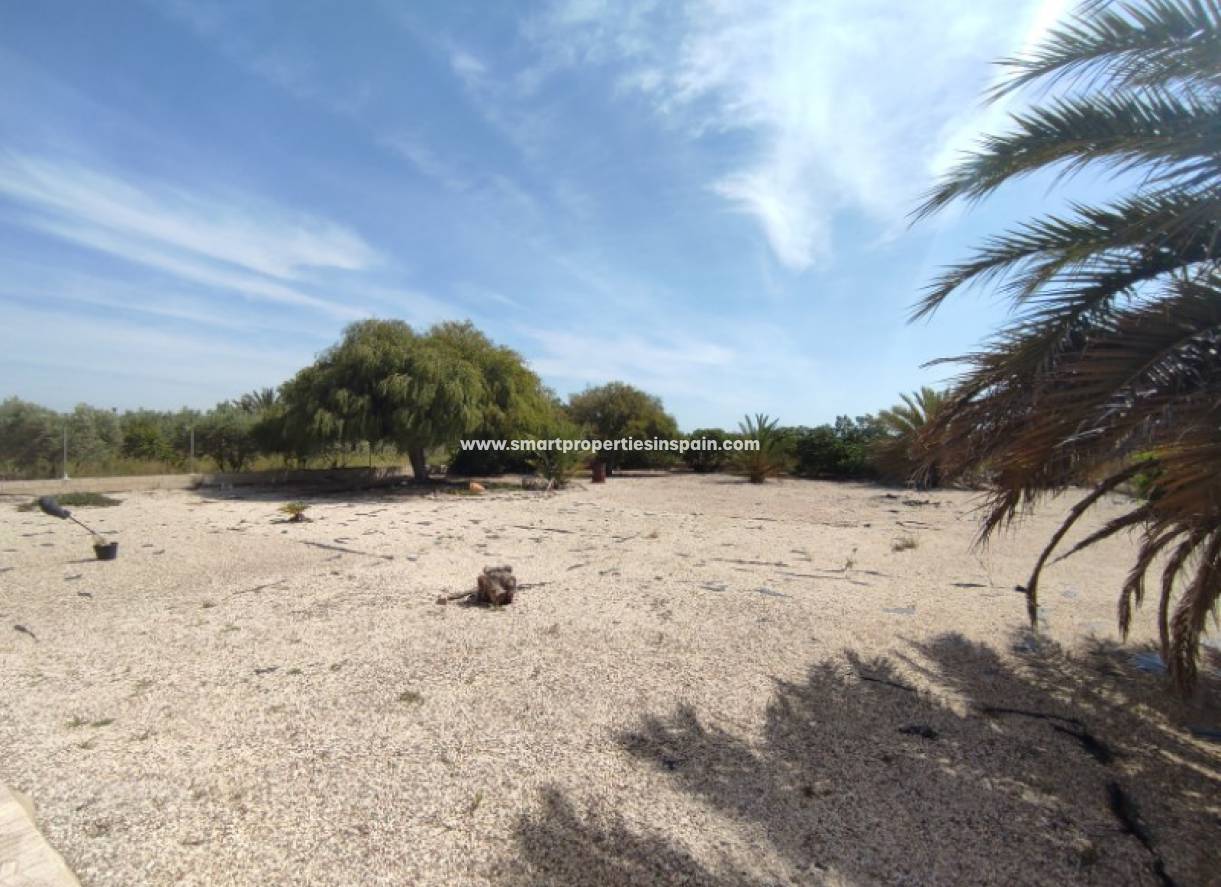 Wiederverkauf - Finca - Elche