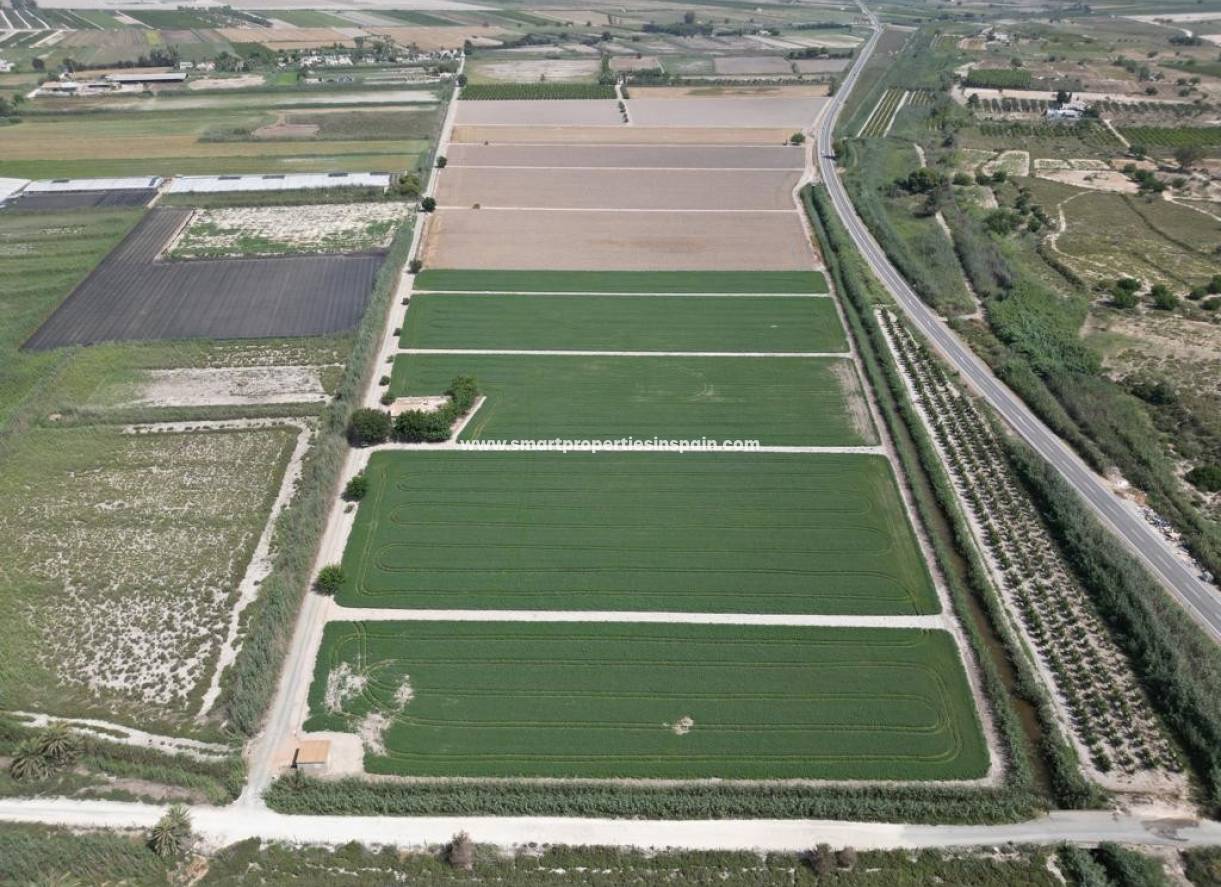 Wiederverkauf - Finca - Elche
