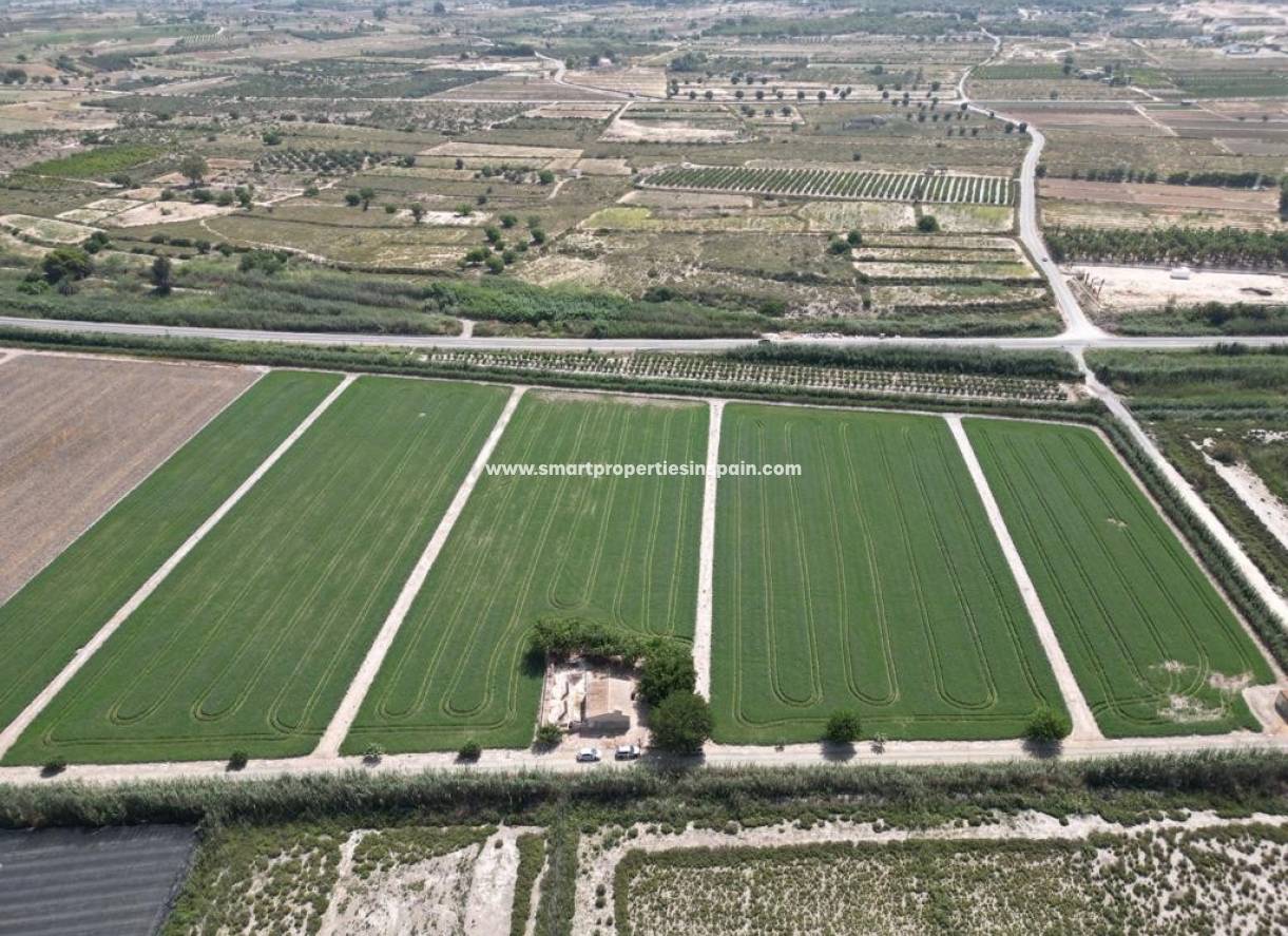 Wiederverkauf - Finca - Elche