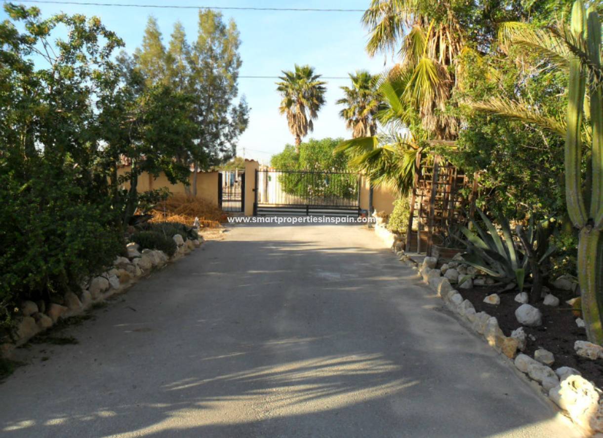 Wiederverkauf - Finca - Elche