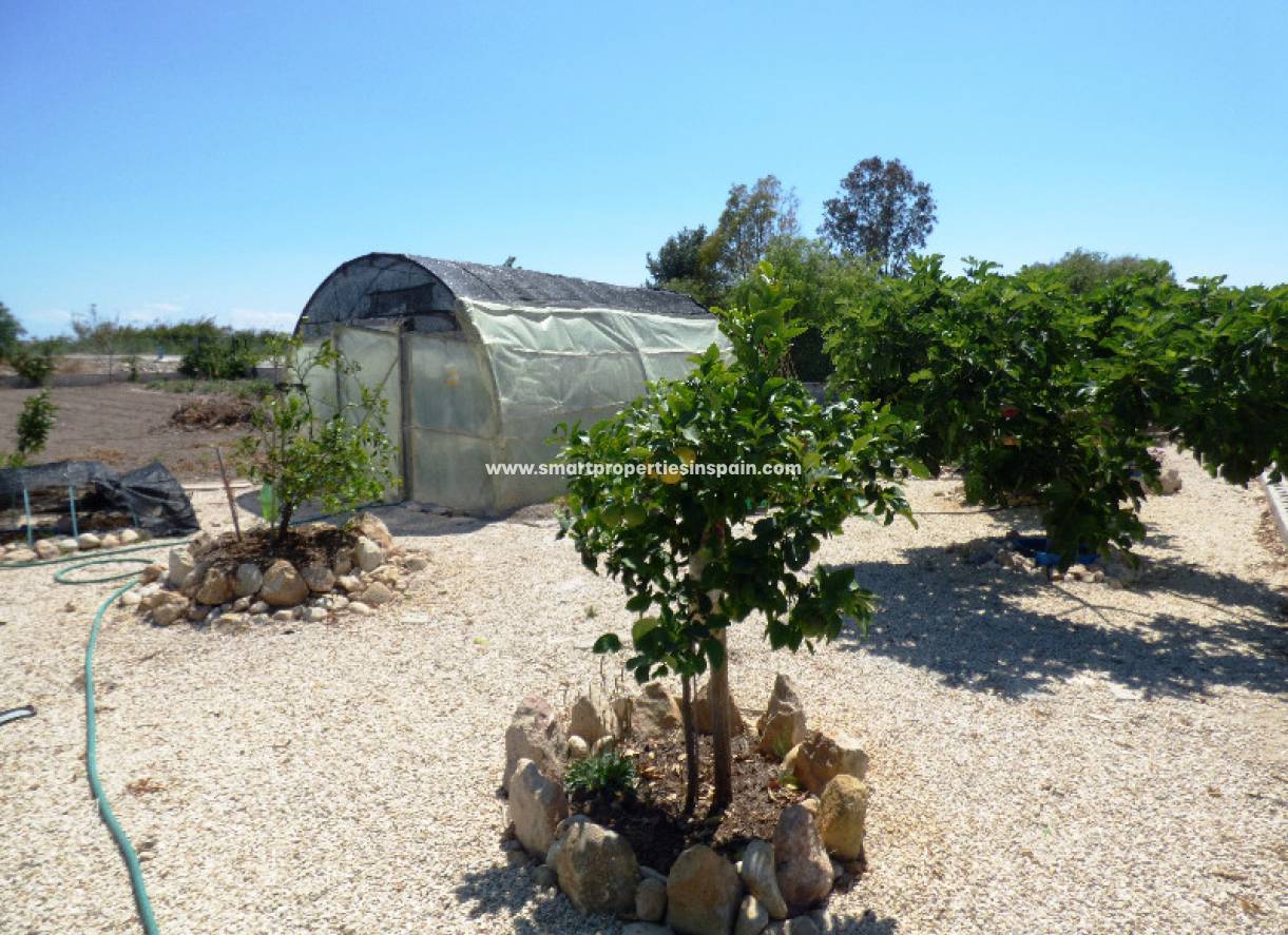 Wiederverkauf - Finca - Elche