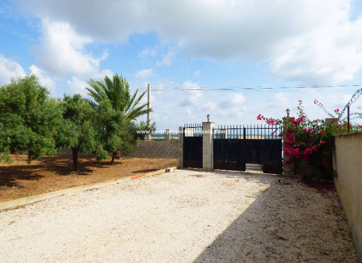 Wiederverkauf - Finca - La Marina - La Marina Village