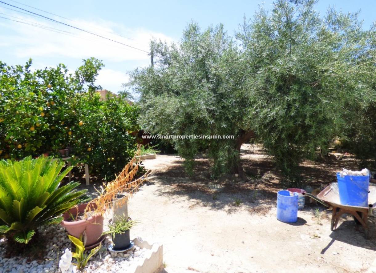 Wiederverkauf - Finca - La Marina - Urbanización La Marina