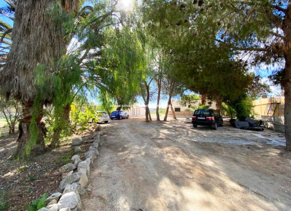 Wiederverkauf - Finca - La Marina - Urbanización La Marina