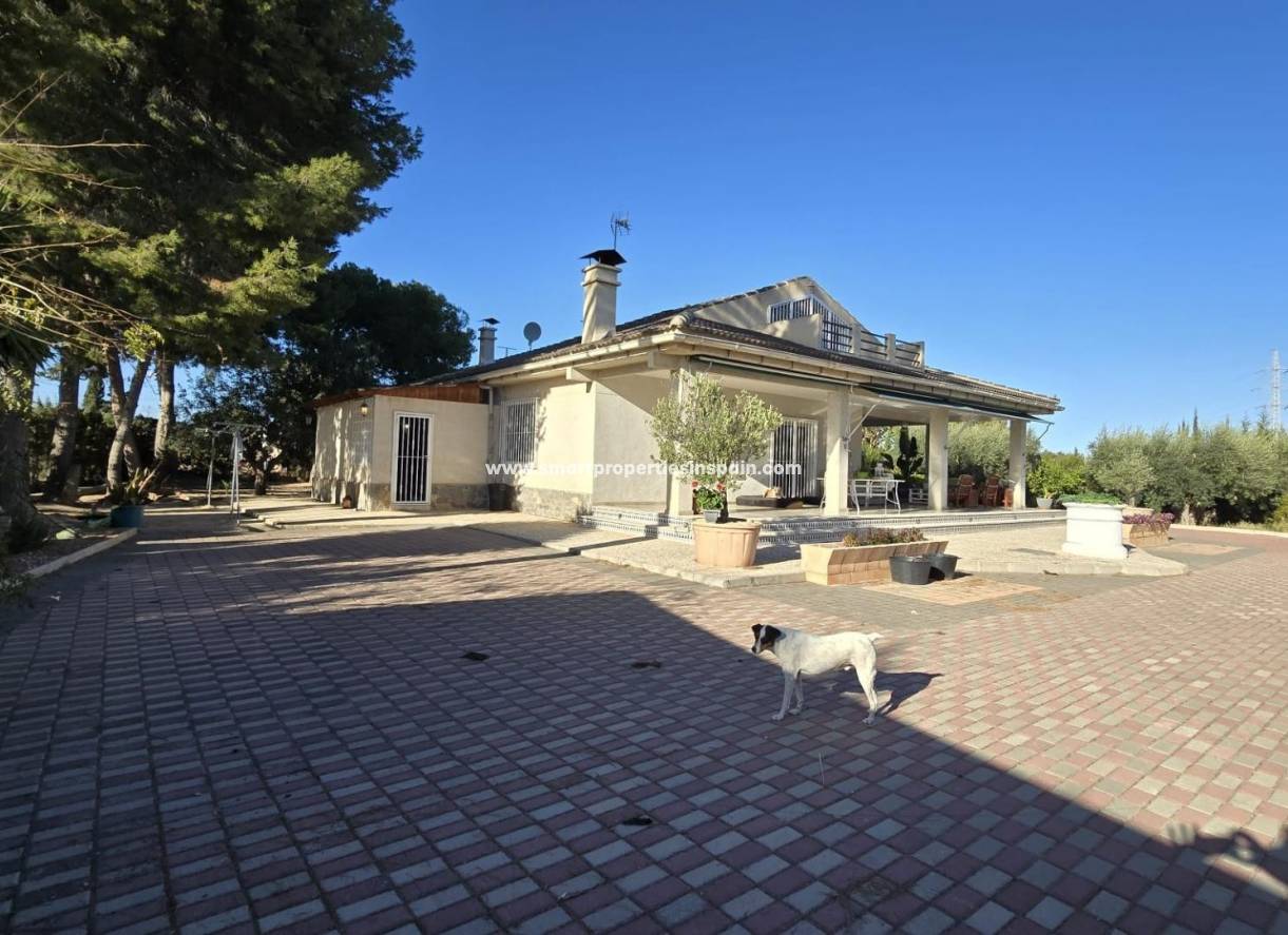 Wiederverkauf - Freistehendes Haus - Elche