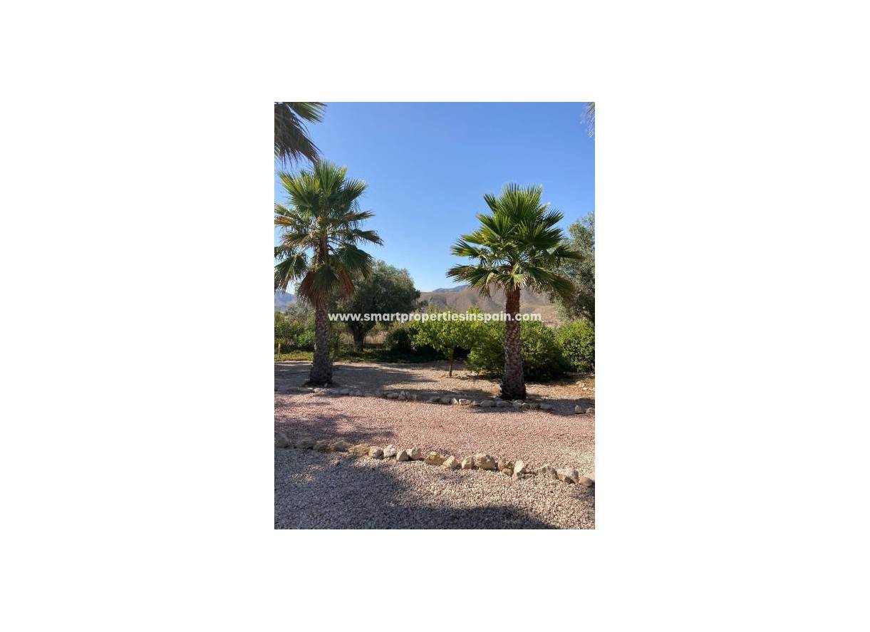 Wiederverkauf - Freistehendes Haus - Hondon de Los Frailes - HONDON DE LOS FRAILES