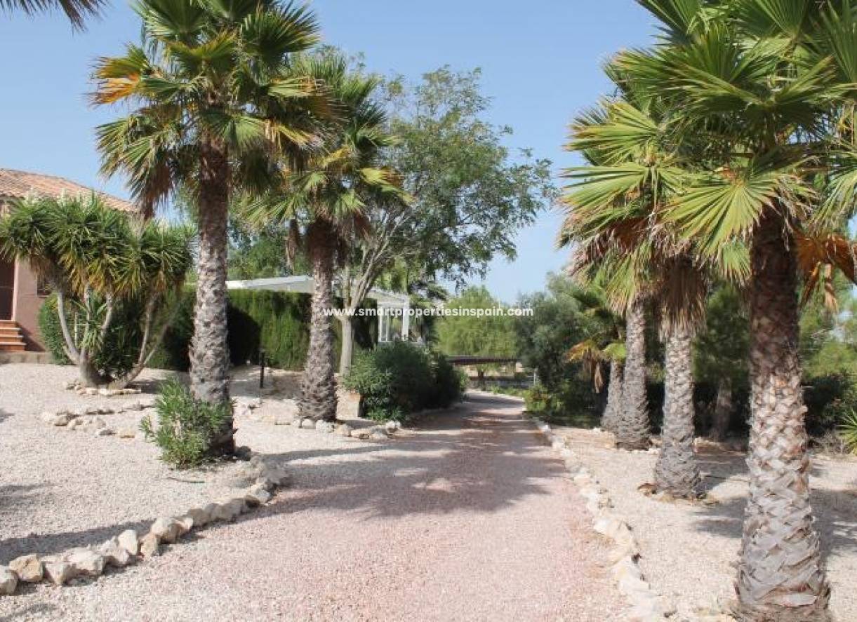 Wiederverkauf - Freistehendes Haus - Hondon de Los Frailes - HONDON DE LOS FRAILES