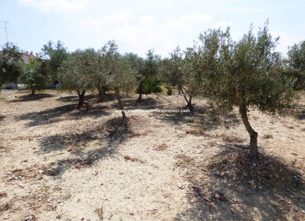 Wiederverkauf - Freistehendes Haus - La Marina - Urbanización La Marina