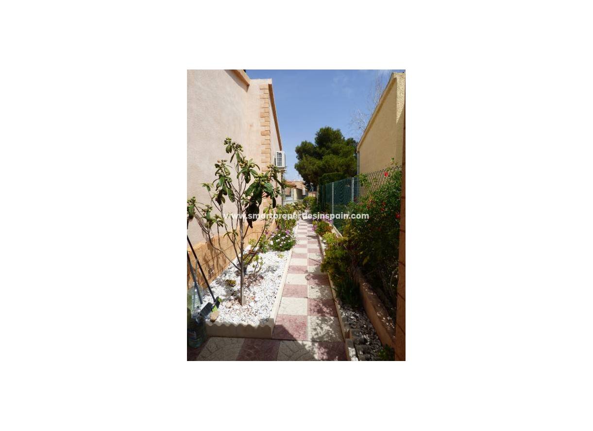 Wiederverkauf - Freistehendes Haus - La Marina - Urbanización La Marina