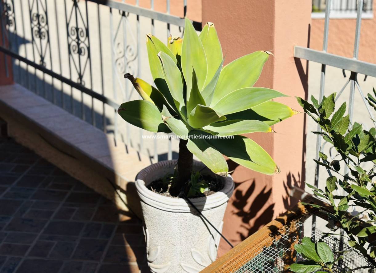 Wiederverkauf - Freistehendes Haus - La Marina - Urbanización La Marina