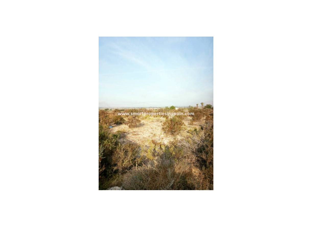 Wiederverkauf - Grundstuck - Elche