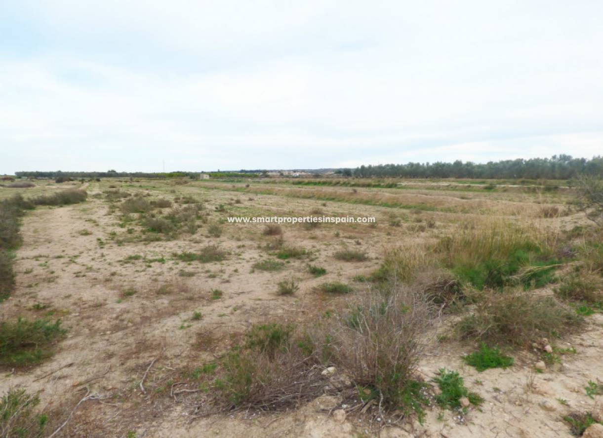 Wiederverkauf - Grundstuck - La Marina - Elche