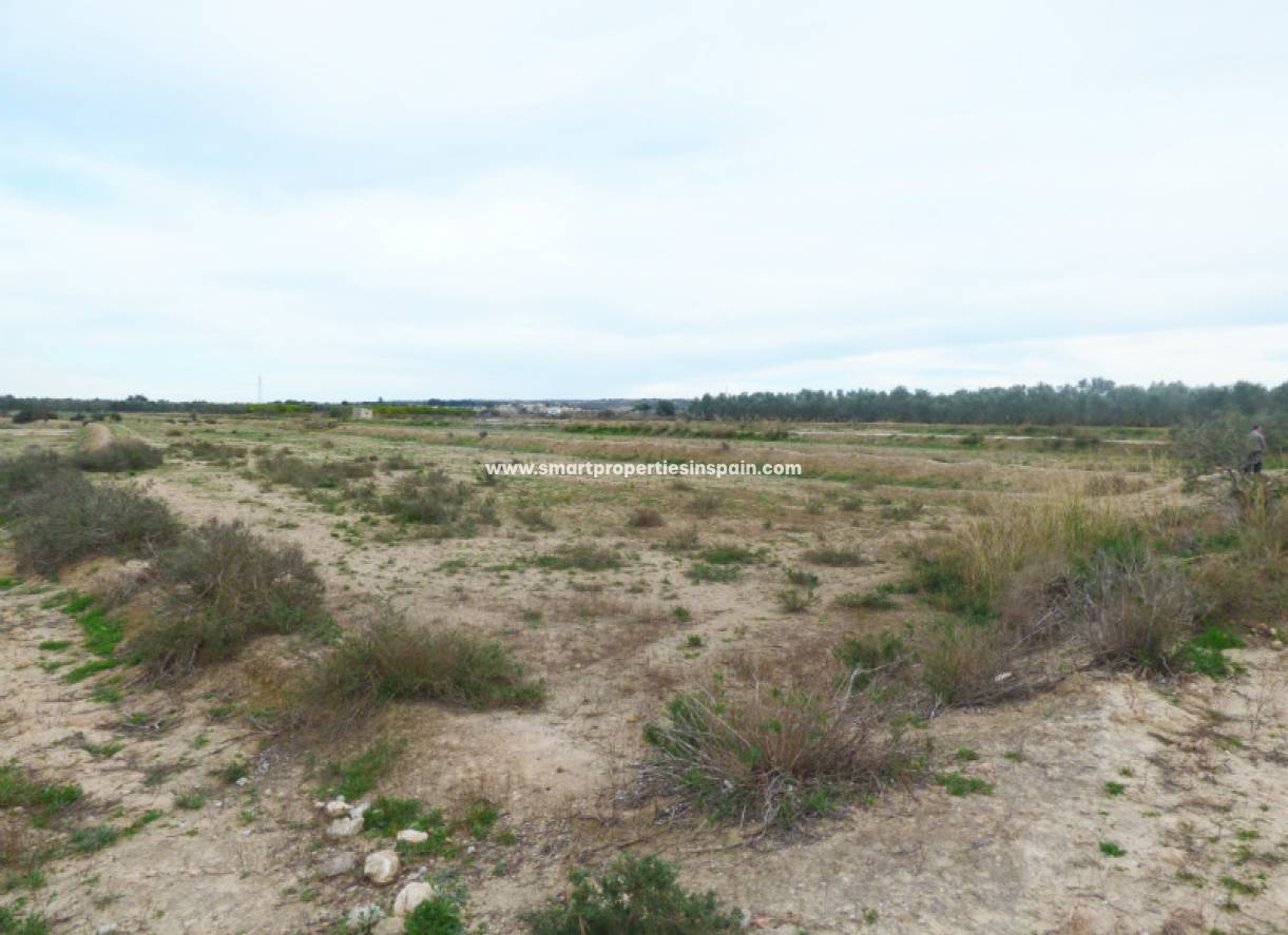 Wiederverkauf - Grundstuck - La Marina - Elche