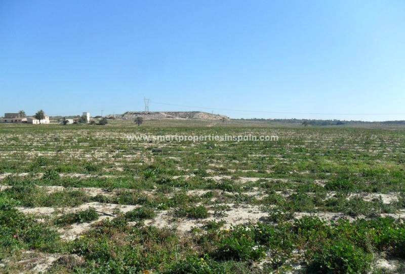 Why is it a good idea to buy this plot for sale in La Marina?