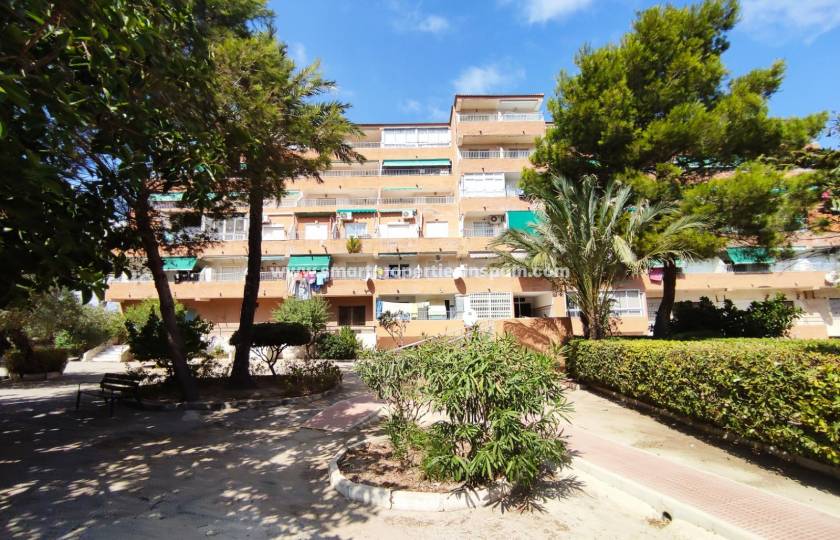 Living on the Costa Blanca doesn't have to be a big investment. Surprise yourself with the price of this apartment for sale in Guardamar del Segura