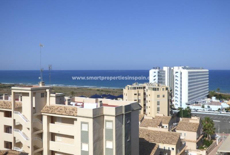 Cheap houses for sale in Guardamar del Segura: who said that living on the Costa Blanca was within reach of a few pockets?