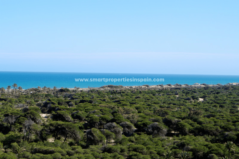 ​In our homes for sale in Guardamar del Segura you will enjoy a splendid Mediterranean climate combined with sea activities