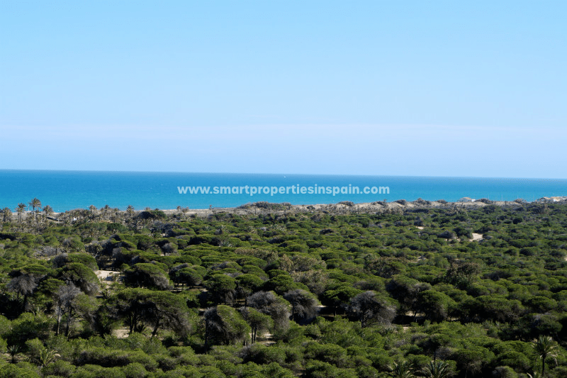 En nuestras viviendas en venta en Guardamar del Segura gozarás de un espléndido clima mediterráneo combinado con actividades de mar