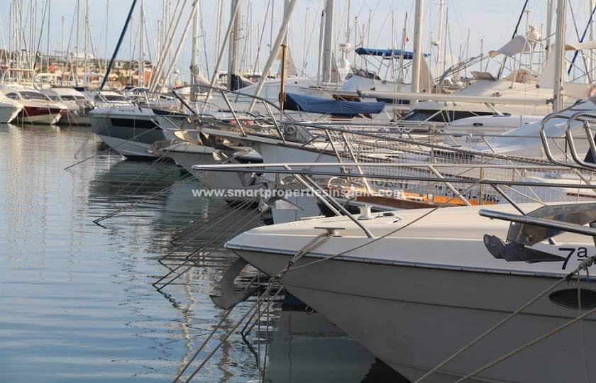 Suchen Sie eine Luxusimmobilie an der Costa Blanca Süd? Unser Landhaus zum Verkauf in La Marina Urbanisation erfüllt alle Ihre Erwartungen