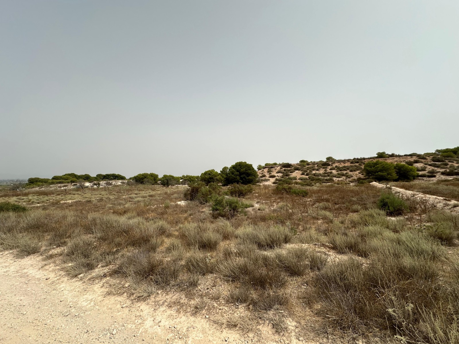 Parcela rústica en venta en Elche/Elx zona La Marina