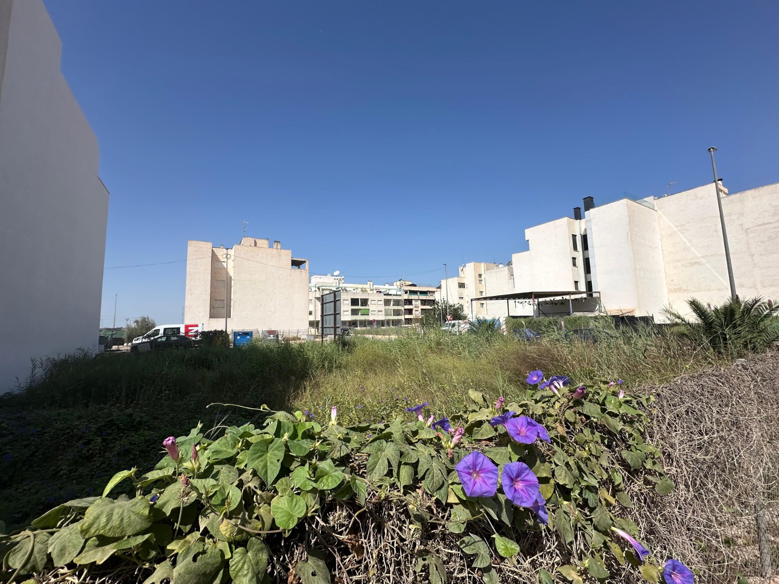 Parcela rústica en venta en Formentera del Segura zona Formentera del Segura