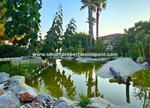 Resale - Detached Villa - Elche