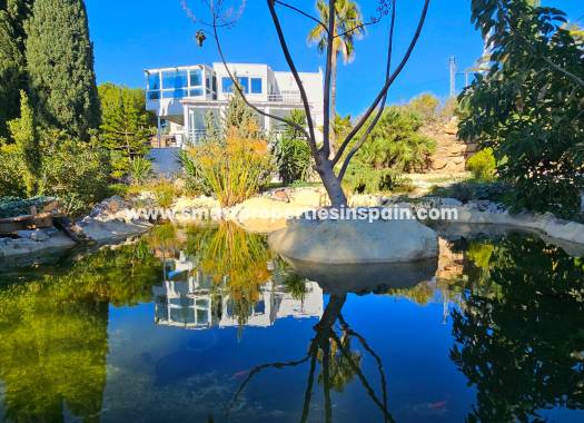 Resale - Detached Villa - Elche