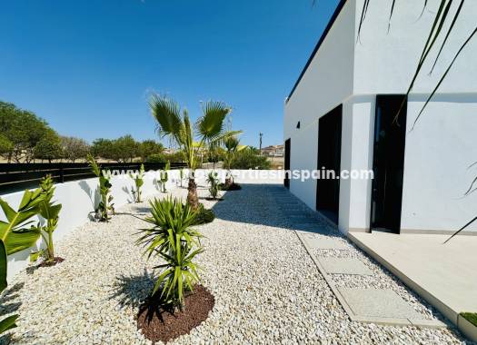 New Build - Detached Villa - La Marina - Urbanización La Marina