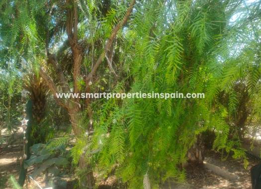 Resale - Country House - Elche - La hoya