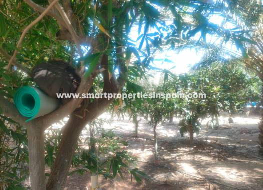 Resale - Country House - Elche - La hoya