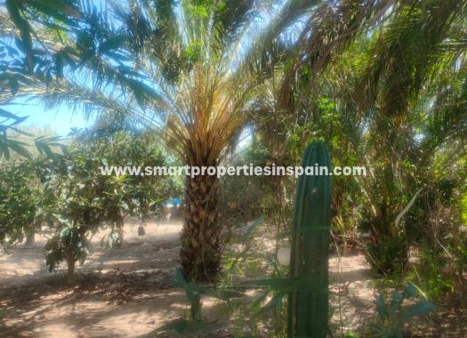 Resale - Country House - Elche - La hoya