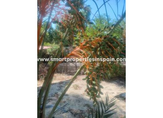 Resale - Country House - Elche - La hoya