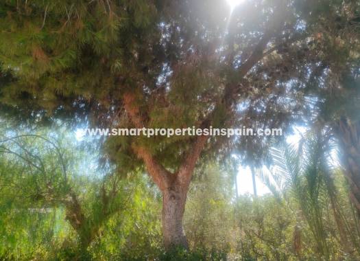 Resale - Country House - Elche - La hoya