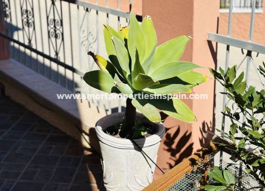 Revente - Maison Individuelle - La Marina - Urbanización La Marina