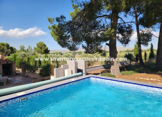 Reventa - Casa de campo - Villena