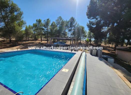 Reventa - Casa de campo - Villena