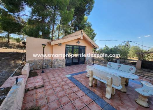Reventa - Casa de campo - Villena