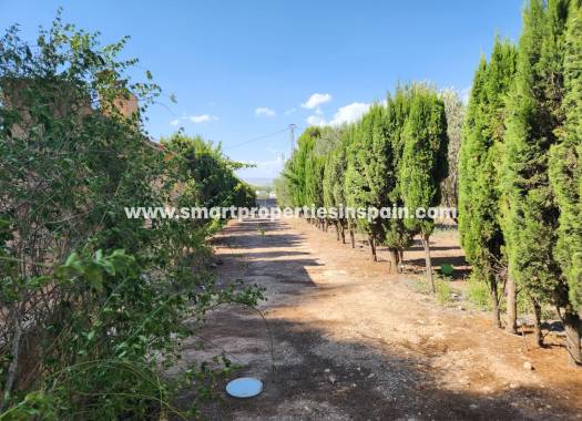 Reventa - Casa de campo - Villena