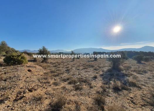 Reventa - Terreno - Villena