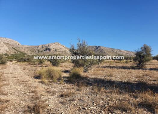 Reventa - Terreno - Villena