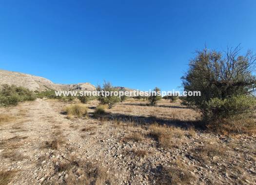 Reventa - Terreno - Villena