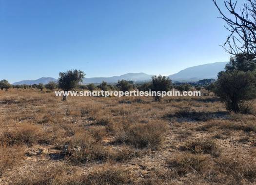 Reventa - Terreno - Villena