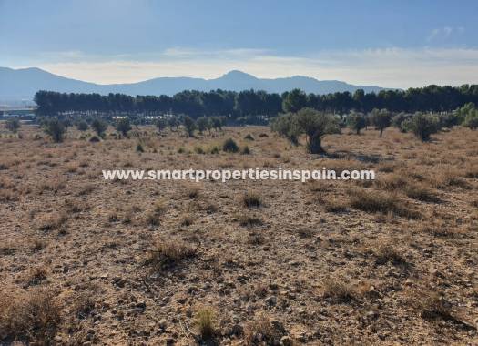 Reventa - Terreno - Villena