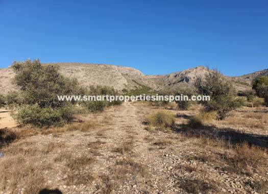 Reventa - Terreno - Villena