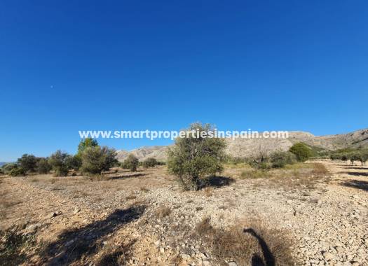 Reventa - Terreno - Villena