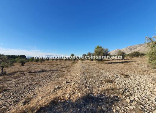 Reventa - Terreno - Villena