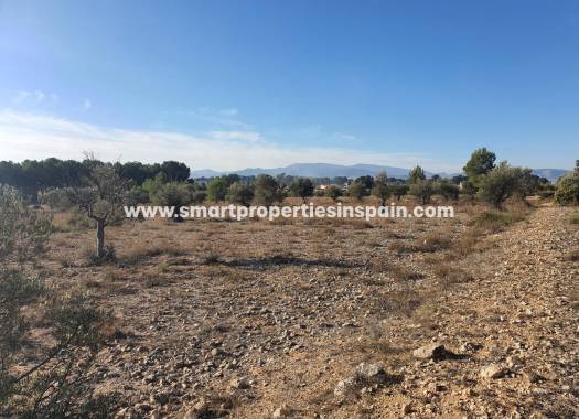 Reventa - Terreno - Villena
