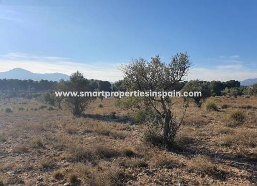 Reventa - Terreno - Villena