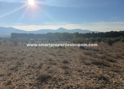 Reventa - Terreno - Villena