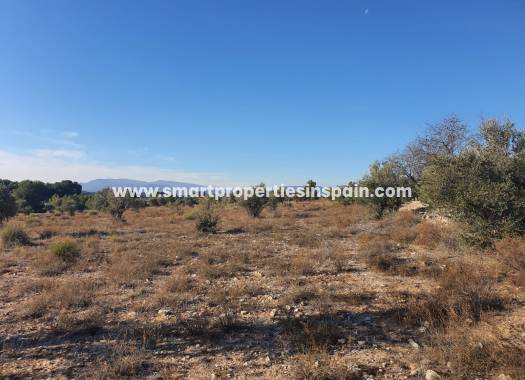 Reventa - Terreno - Villena